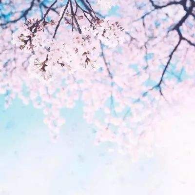 战火与秩序台湾版下载